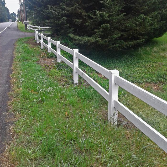 2 Rail Horse Fence by Woods