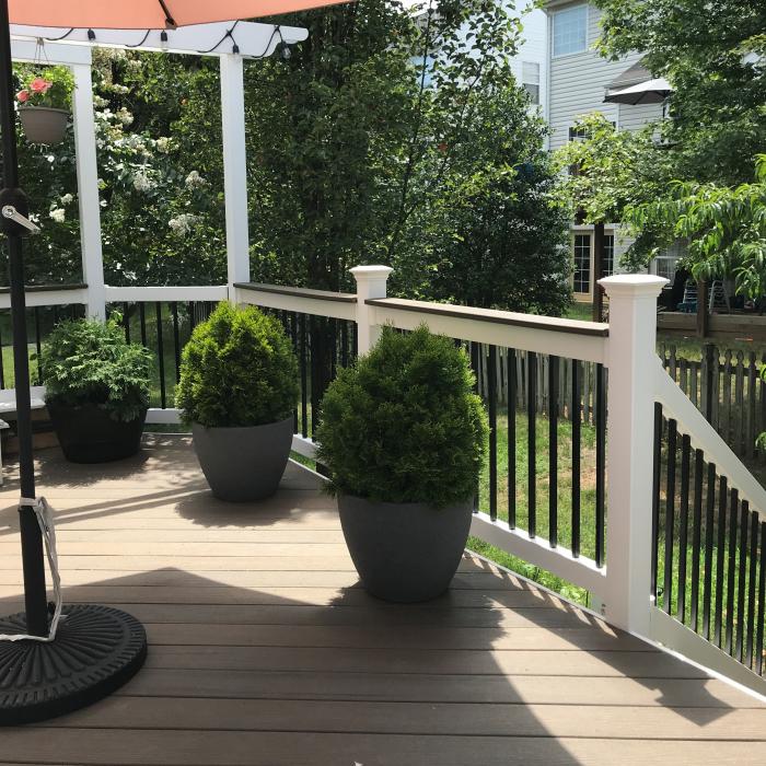 Lancaster deck board railing with small shrubbery in shadow