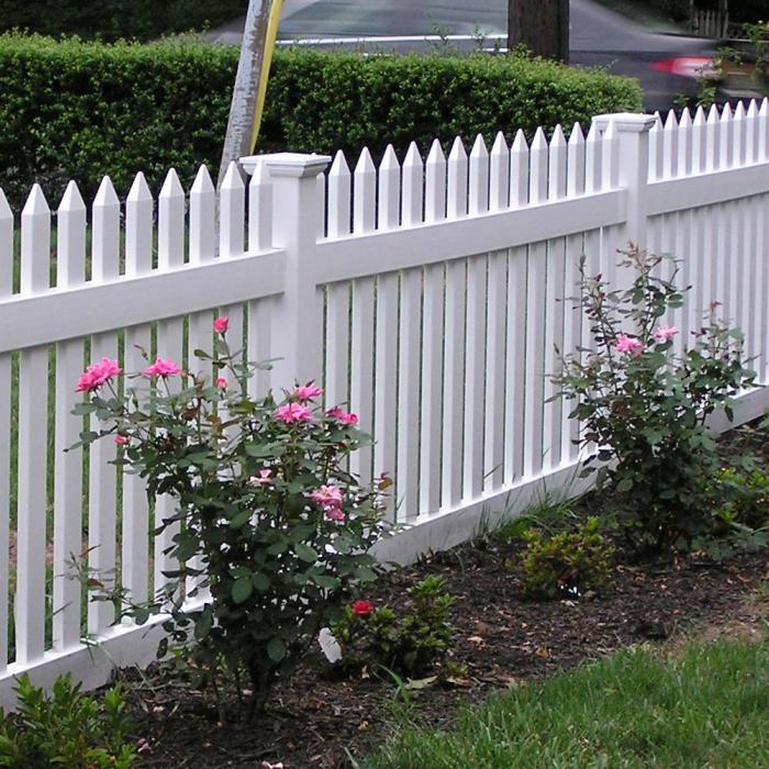 New England White 2 On Picket Fence