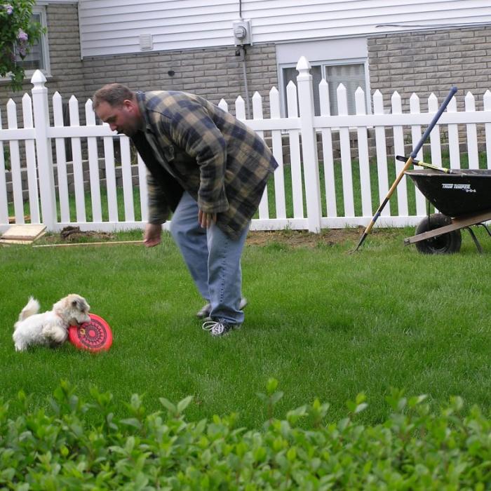 Ellington Picket fence with dog playing