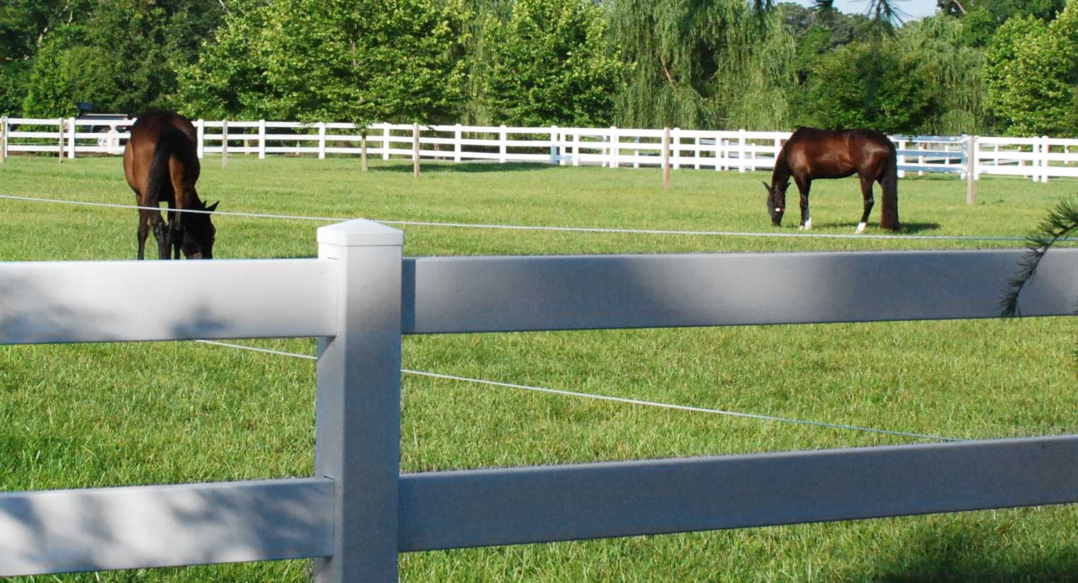 Photo of horses grazing in a field bordered by our 3 rail ranch rail