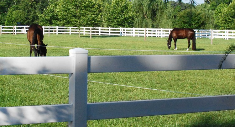 Two brown horses in a field surrounded by Weatherables Vinyl Ranch Rail Fencing
